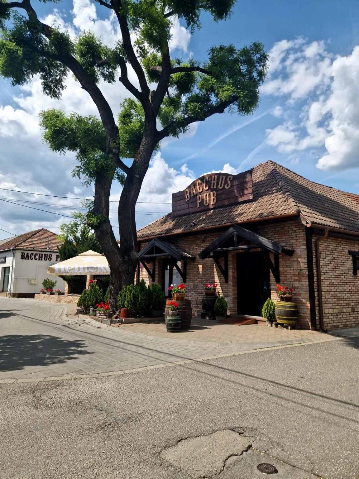 مبيت وإفطار دوناهاراسزتي Bacchus Pub Es Panzio المظهر الخارجي الصورة